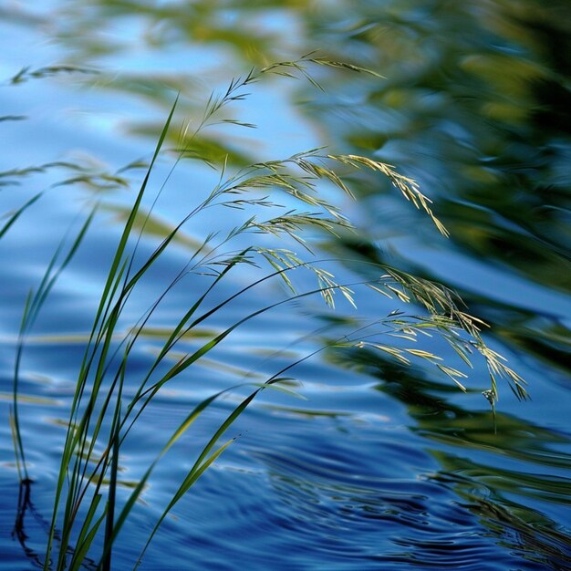 Foto prachtige en prachtige natuur