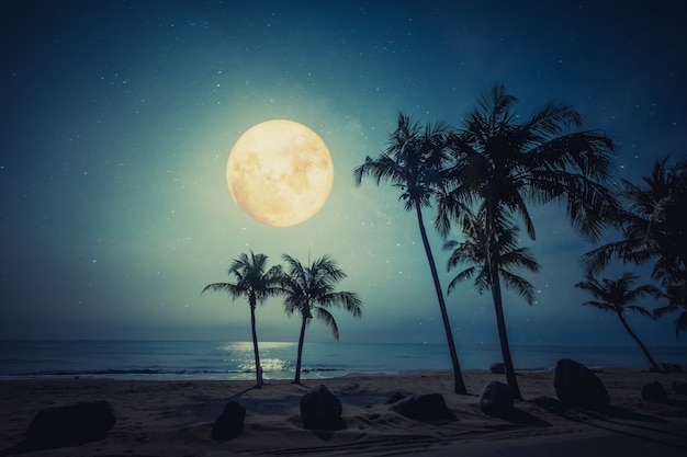 prachtige fantasie tropisch strand met ster en volle maan in de nachtelijke hemel.