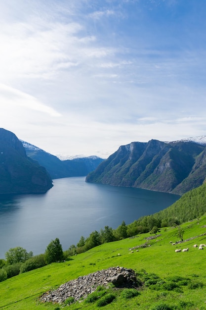Prachtige fjord Naeroyfjord met hoge bergen en watervallen Noorwegen