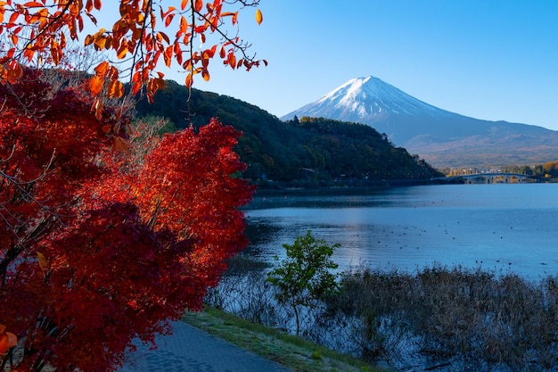 Prachtige Fuji-berg en Kawaguchiko-meer in Japan