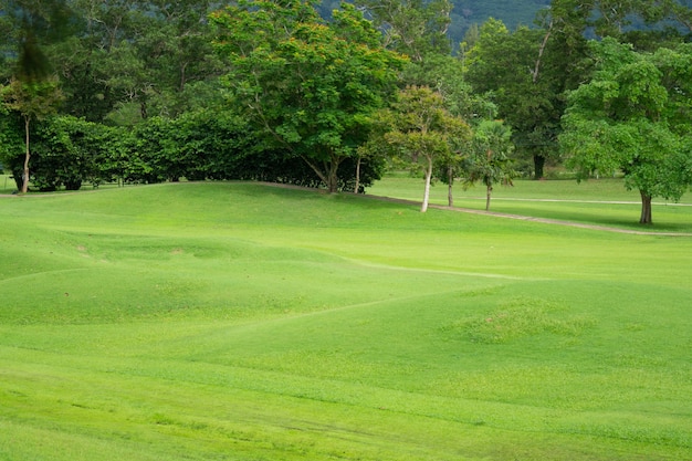 Prachtige groene gras golfbaan