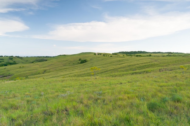 prachtige groene heuvels met blauwe lucht