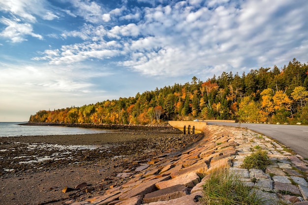Prachtige herfstkleuren van Acadia National Park in Maine