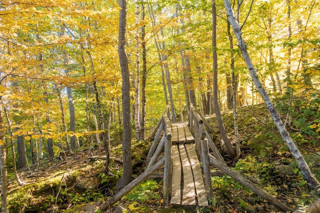 Prachtige herfstkleuren van Acadia National Park