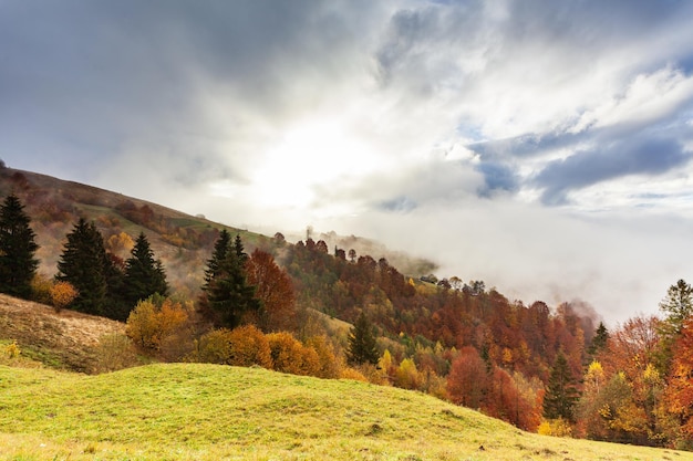 Prachtige herfstnatuur en mistige stromen rond de bergen in de ochtend met milde zonneschijn Herfstseizoen op de Karpaten in Oekraïne