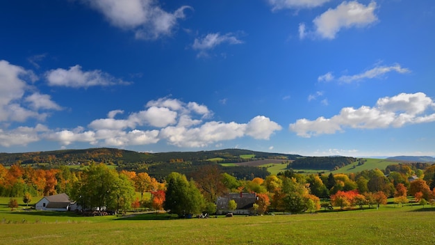 Prachtige herfstnatuur met landschap in Tsjechië Kleurrijke bomen met blauwe lucht en zon Achtergrond voor herfst en milieu