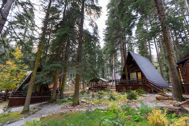 Prachtige houten chalet huisjes in de bergen midden in het bos