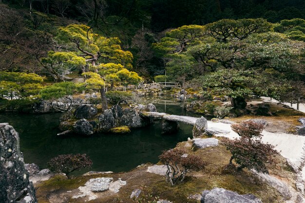 Prachtige Japanse tuin