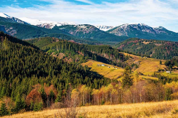 Prachtige kleurrijke bossen die de Karpaten en een klein dorpje bedekken tegen de achtergrond van een warme herfstlucht