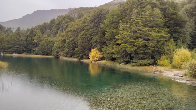 Prachtige kristallijne rivier in Argentijns Patagonië in de herfst