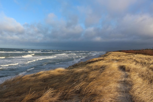 Prachtige kustlijn van de oostzee en blauwe lucht