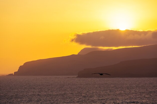 Prachtige kustlijnlandschappen in Paracas National Reserve, Ica Region, Pacifische kust van Peru.