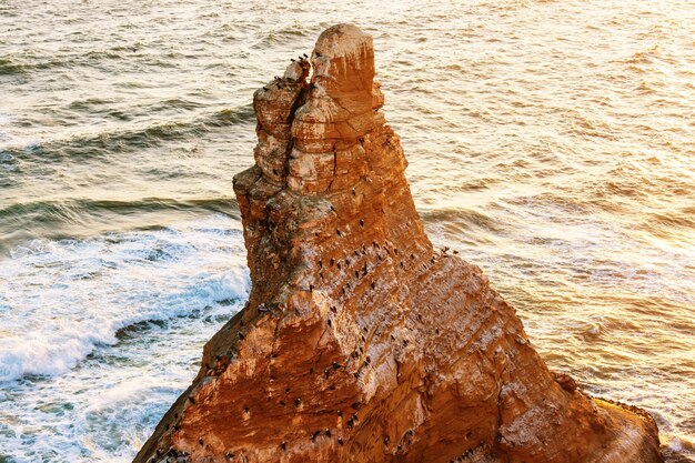 Prachtige kustlijnlandschappen in paracas national reserve, ica region, pacifische kust van peru.