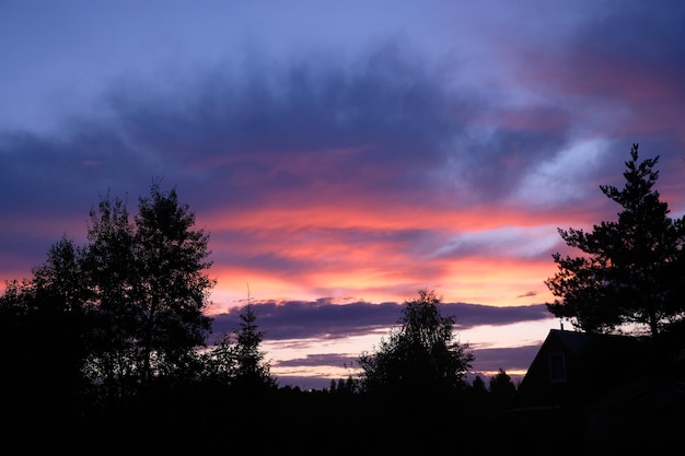 Prachtige landelijke zonsondergang met dramatische kleuren achter bomensilhouetten in de schemering