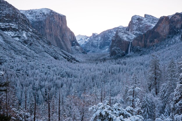 Prachtige landschappen in het vroege voorjaar in yosemite national park, yosemite, verenigde staten