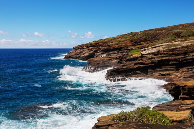 Prachtige landschappen op het eiland Oahu, Hawaii