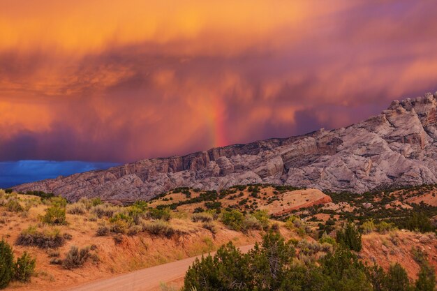 Prachtige landschappen van de Amerikaanse woestijn