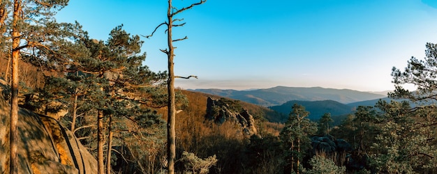 Prachtige landschappen van Dovbush Oekraïne in de herfst