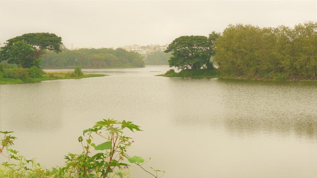 Prachtige landschapsfotografie uit Bangalore Madiwala of BTM Layout Lake