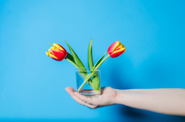 Prachtige lente tulpen in een glas met water meisje houdt.