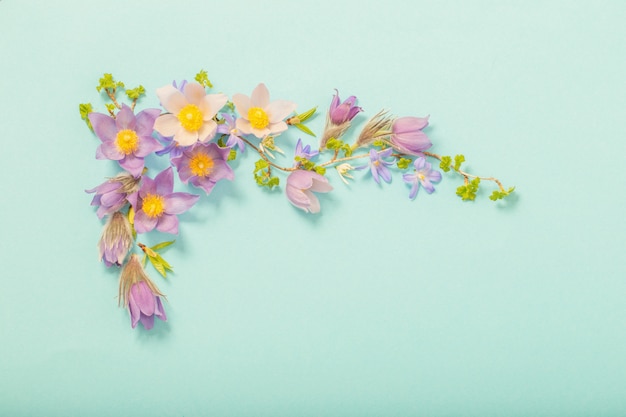 Prachtige Lentebloemen op groene achtergrond