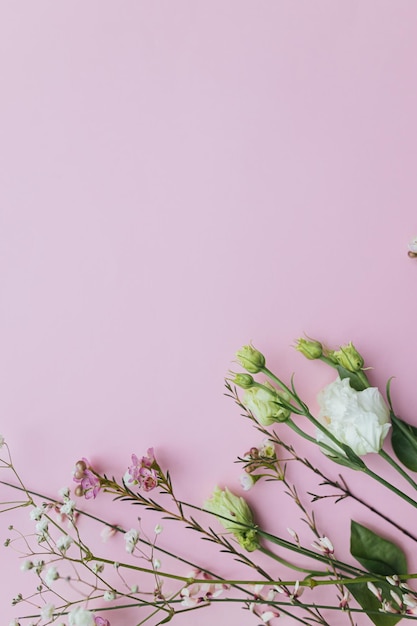 Prachtige lentebloemen op roze achtergrond met ruimte voor tekst Stijlvolle bloemen plat leggen met eustoma gypsophila en chamelaucium Wenskaart of banner Fijne vrouwendag en moederdag