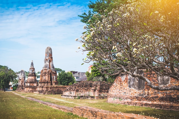 Prachtige loopbrug middelste prachtige pagode oude tempel van thailand