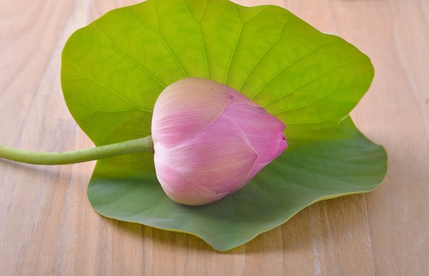 Prachtige lotus met blad op houten tafel