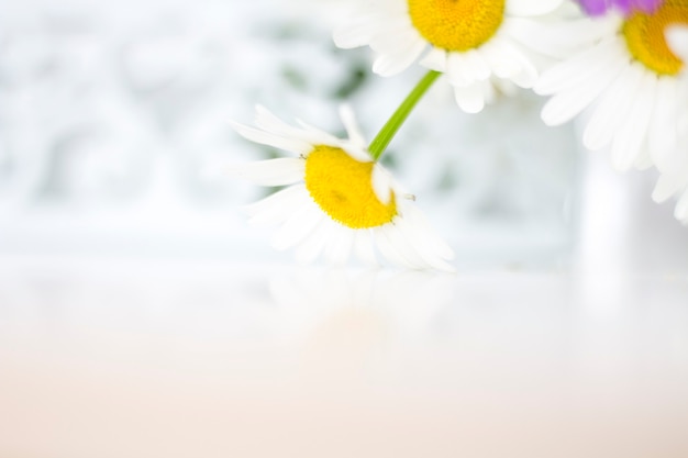 Prachtige madeliefjes en andere bloemen op een witte tafel.