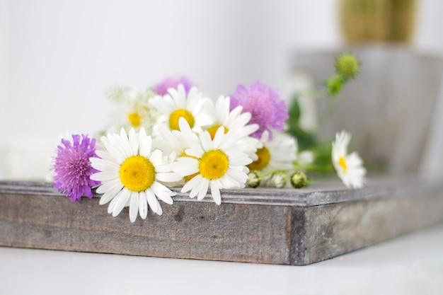 Prachtige madeliefjes en andere bloemen op een witte tafel.