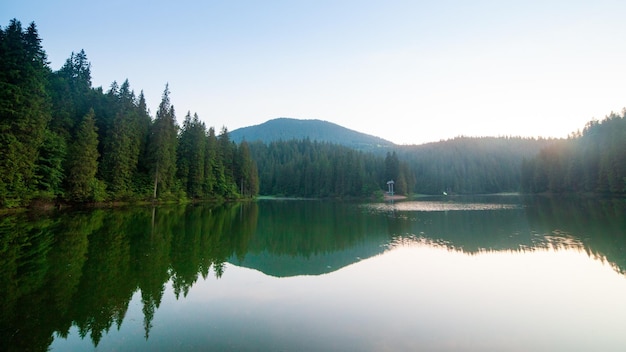 Prachtige natuur en een prachtig landschap met weelderige groene bossen en vegetatie rond de parel van de Karpaten Lake Synevyr Karpaten in Oekraïne Mystieke mist over de grote sparren