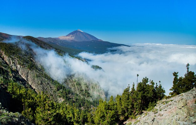 Prachtige natuur in Tenerife, Spanje