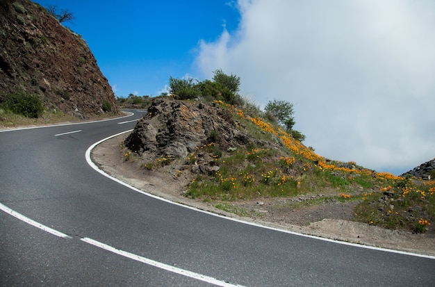 Prachtige natuur in Tenerife, Spanje