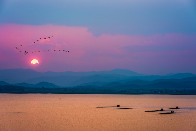 Prachtige natuur landschap rode zon op kleurrijke lucht en vogels kudde vliegen in een rij over berg- en meerwater tijdens zonsondergang, viskweek in kooien achtergrond bij Krasiao Dam, Suphan Buri in Thailand