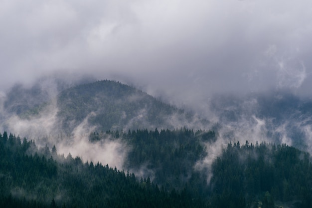 Prachtige natuur landschap. Toneel mening bij nevelige mistige bergenpieken die met regenachtige stormachtige wolken worden behandeld. Mystic heuvels met bos in de zomer.