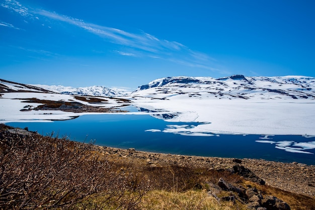 Prachtige natuur Noorwegen natuurlijke landschap.