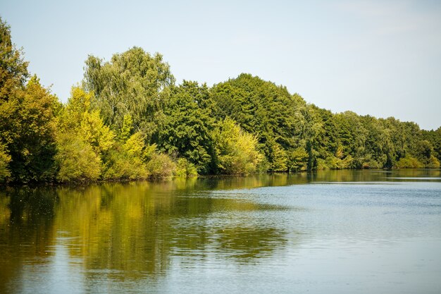 Prachtige natuur op een zonnige dag