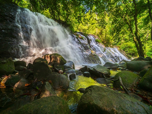 Prachtige natuur waterval