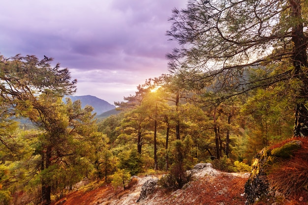 Prachtige natuurlandschappen in de bergen van Turkije. De Lycische weg is beroemd onder wandelaars.