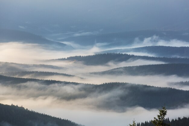 Prachtige natuurlijke landschappen in de Karpaten