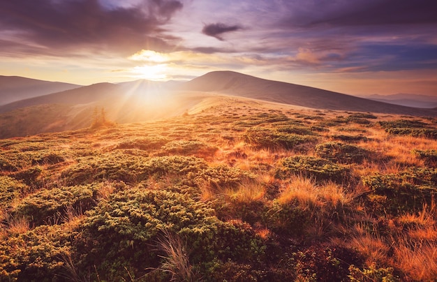 Prachtige natuurlijke landschappen in de karpaten