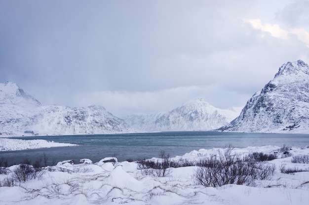 Prachtige ongerepte natuur in noord Scandinavië