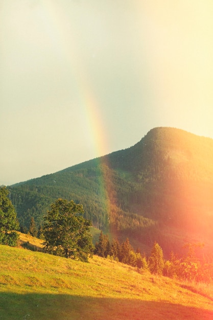 Foto prachtige retro natuur met regenboog