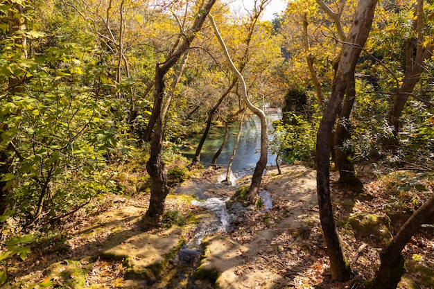 Foto prachtige rivier in de natuur