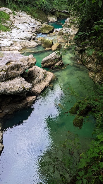 Prachtige rivier stroomt tussen de stenen in het bos