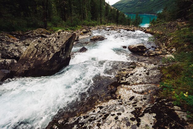 Prachtige snelle waterstroom in wilde hooglandkreekstroom in meer