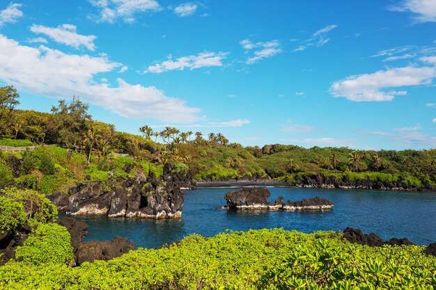 Prachtige tropische landschappen op het eiland Maui, Hawaii