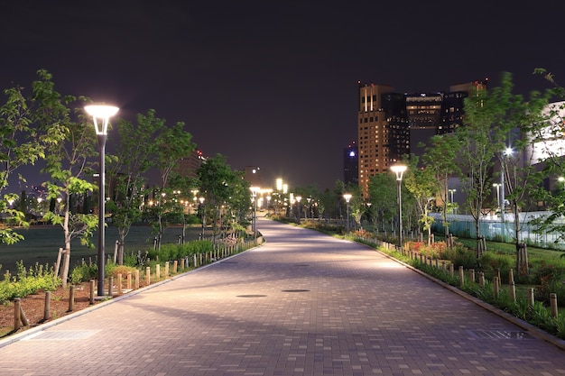 prachtige tuin loopbrug met lampen &#39;s nachts