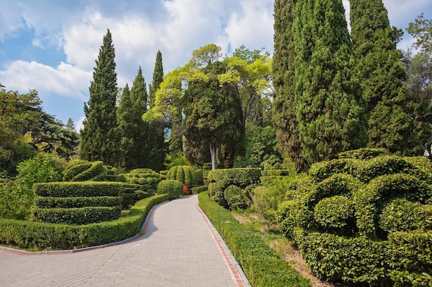 Prachtige tuin met hagen