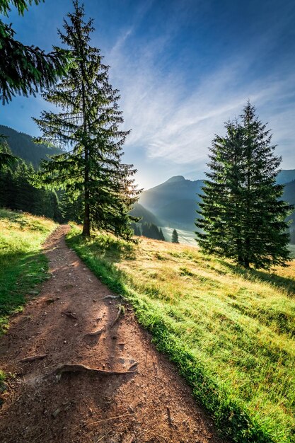 Prachtige vallei in het Tatra-gebergte bij zonsopgang in de zomer